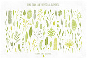 Vector Botanical Elements +Extras!, a Decorative Illustration by eclosque (Thumbnail 2 of 5)