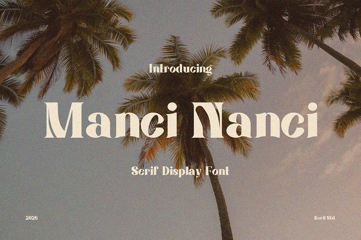 ManciNanci - Serif Font, a Serif Font by Boril Std (Photo 1 of 12)