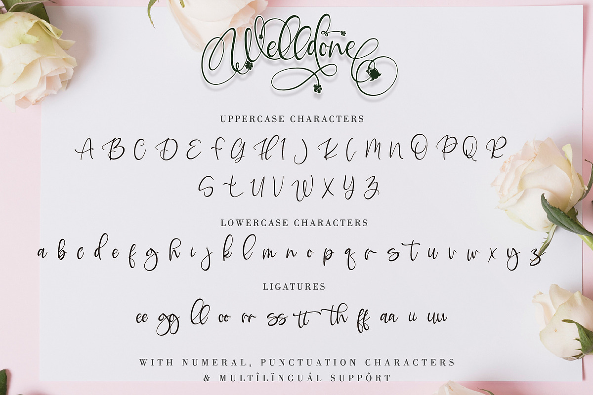 Welldone, a Script Font by Letterara (Photo 11 of 11)