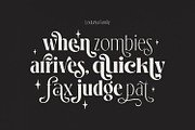 Loubrisa - Playful Branding Fonts, a Serif Font by creativemedialab (Thumbnail 13 of 13)