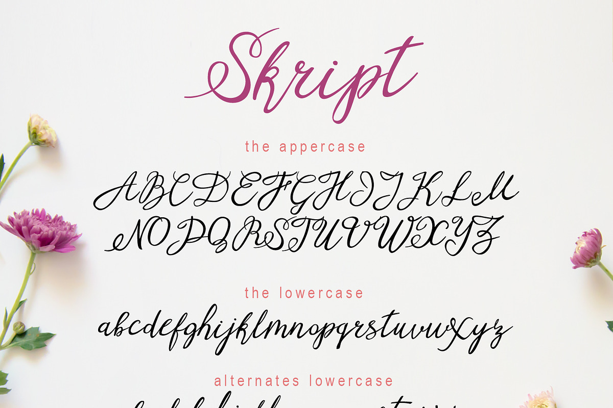 Pink mood set. Font & patterns. preview 4