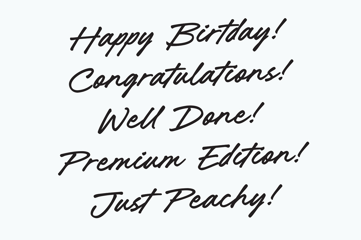 Parslay - Clean Brush Script Font, a Script Font by Letteralle Studios (Photo 2 of 8)