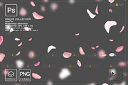 PINK Rose Petals photo overlays, an Object Graphic by 2SUNS (Thumbnail 2 of 9)