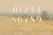 Nadier - Classic Retro Typeface, a Serif Font by Flawless And Co (Thumbnail 9 of 12)