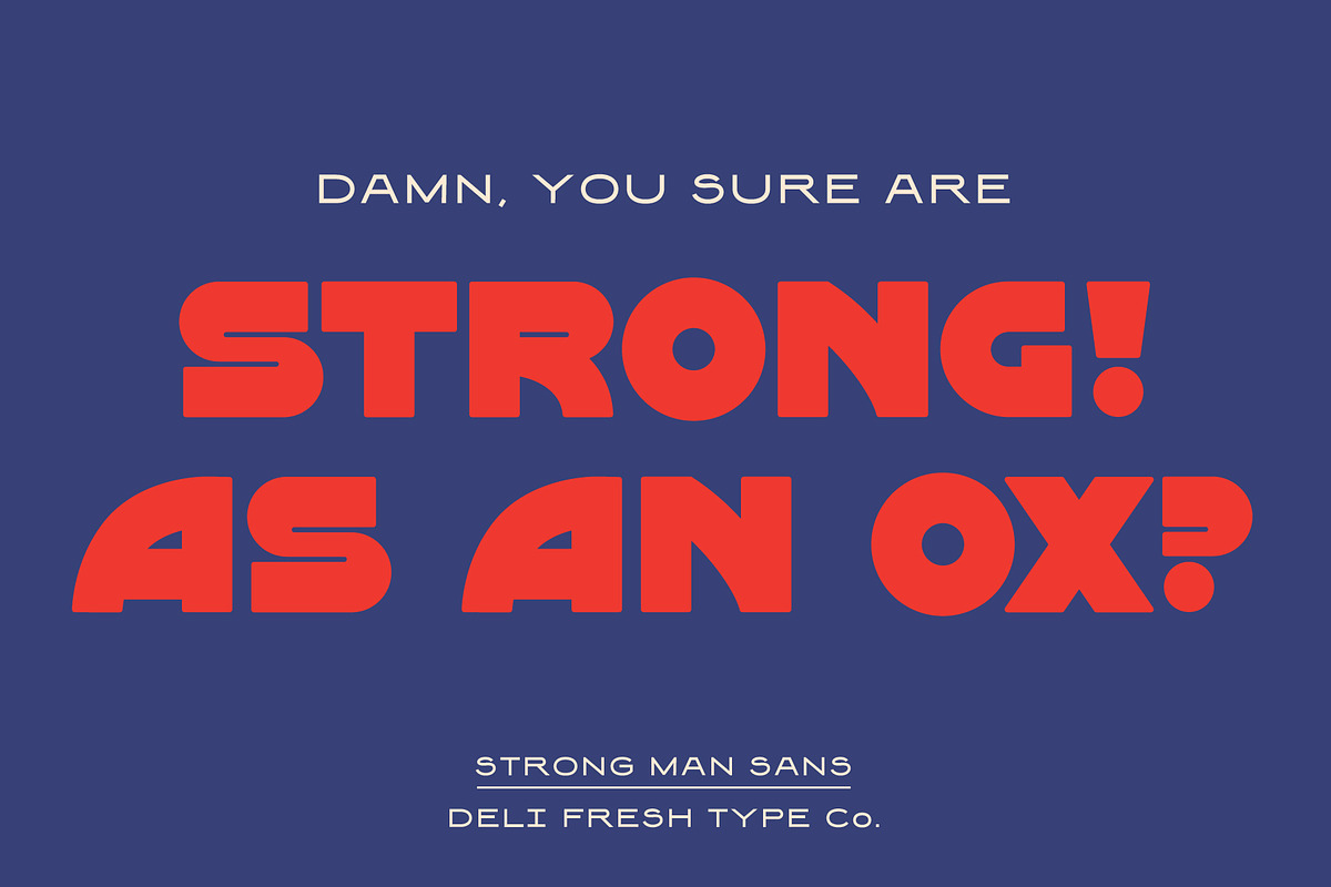 Strong Man Sans: Heavy Display Font, a Font by DeliFreshTypeCo. (Photo 4 of 7)