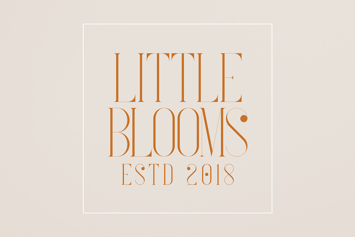 French Typeface - 4 fonts, a Serif Font by VP Fonts (Photo 8 of 9)