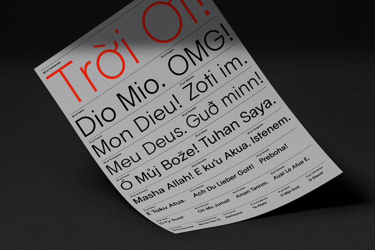 Binocular Sans Font Family, a Sans Serif Font by IRL by Outfit (Photo 9 of 26)