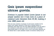 Montclair Classy Serif Family Font, a Serif Font by UICreative (Thumbnail 3 of 13)