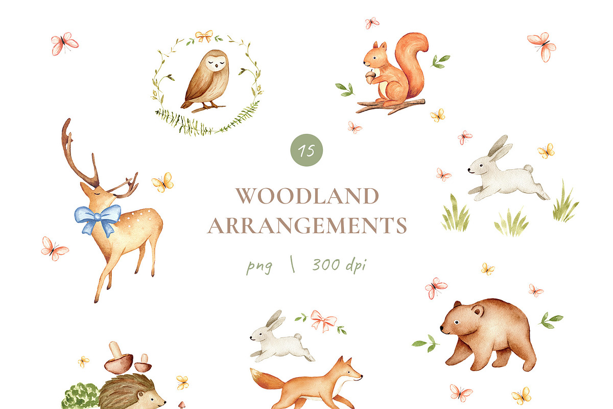 Woodland Watercolor Illustrations, an Animal Illustration by Liliia Polos Illustration (Photo 4 of 16)