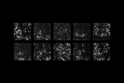 Distressed Grunge Textures, a Texture Graphic by TuomoDesign (Thumbnail 4 of 5)
