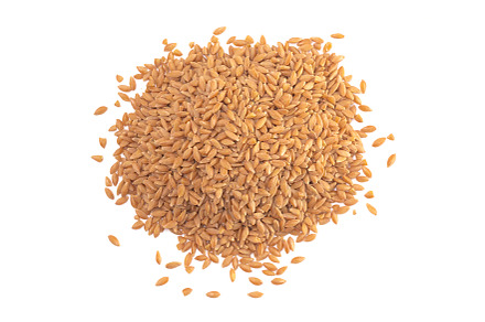 Pile of Organic Einkorn Rice Isolated on a White Background, a Food & Drink Photo by P Maxwell Photography