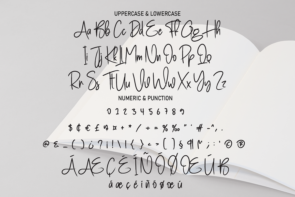 Book Signature | Script Font, a Script Font by Scratchones
