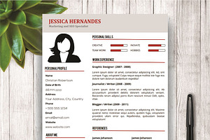 Clean Resume Template Cover Letter