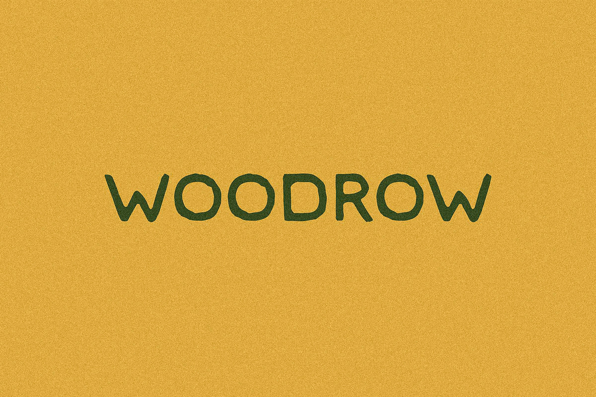 Woodrow I A Sans Serif Font, a Sans Serif Font by Taylor Penton (Photo 1 of 3)