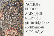 Monteilga Serif Font, a Serif Font by Hishand Studio (Thumbnail 2 of 10)