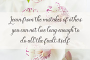 Cynthia Script, a Script Font by Rotterlab Studio (Thumbnail 2 of 8)