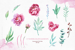 Watercolor Pink Peony, Png Clipart