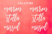 Denarrio Script 80%off, a Script Font by Studio design (Thumbnail 5 of 9)