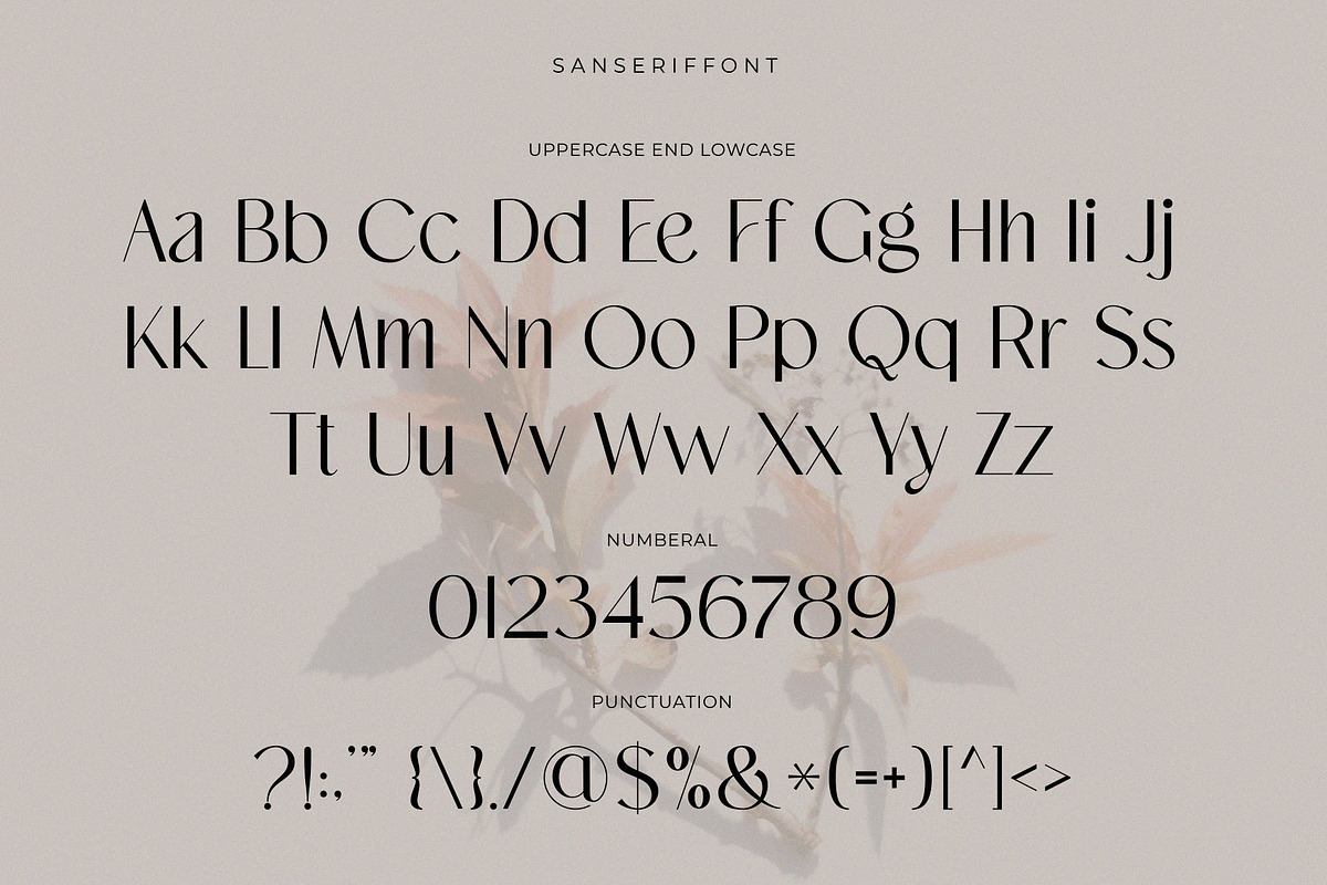 Dastin Mirelle - font duo, a Serif Font by ToniStudio (Photo 10 of 10)