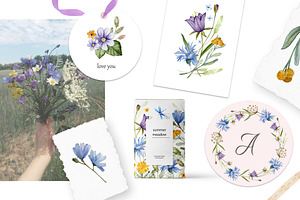 Summer Meadow. Wild Flowers Clipart