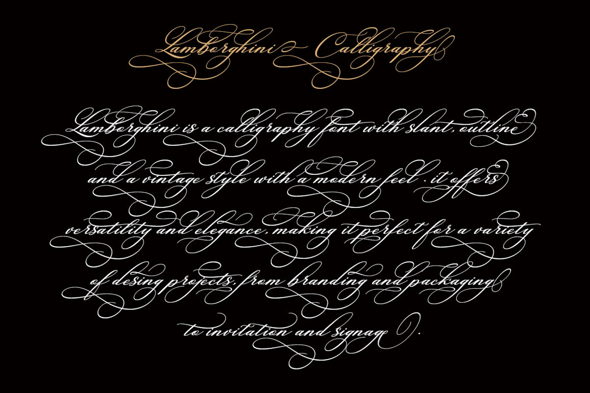 Lamborghini Script, a Script Font by Has_rizal (Photo 5 of 13)