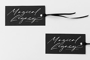 Kingdome Daylight Modern Signature, a Script Font by stylishtype.co (Thumbnail 9 of 20)