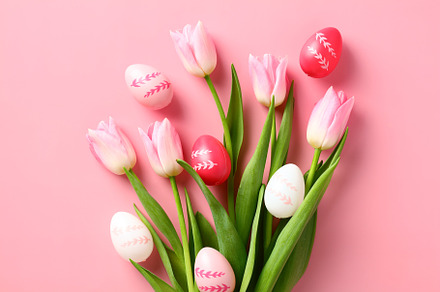 Bouquet of tulips and Easter eggs on pastel pink background, a Holiday Photo by photoguns