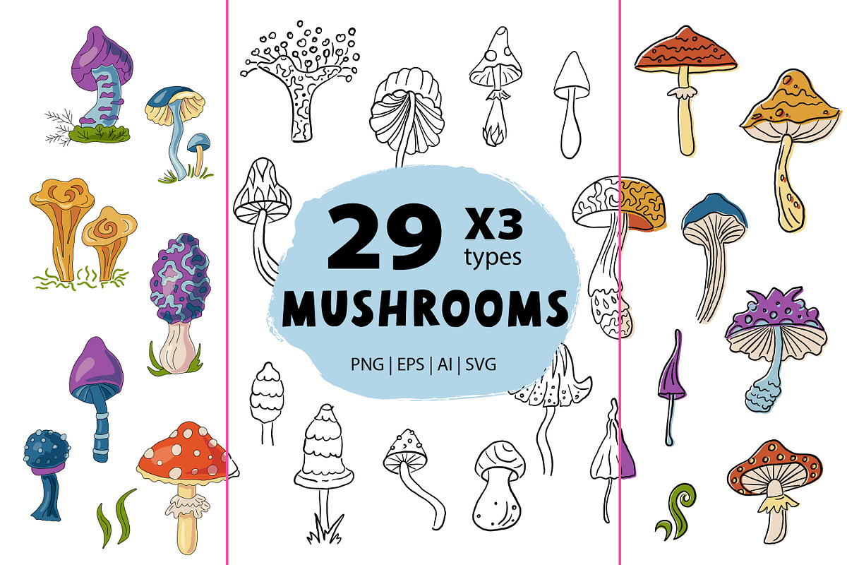 Mushrooms clip art. Vector, a Food Illustration by VaraNa Art (Photo 1 of 4)
