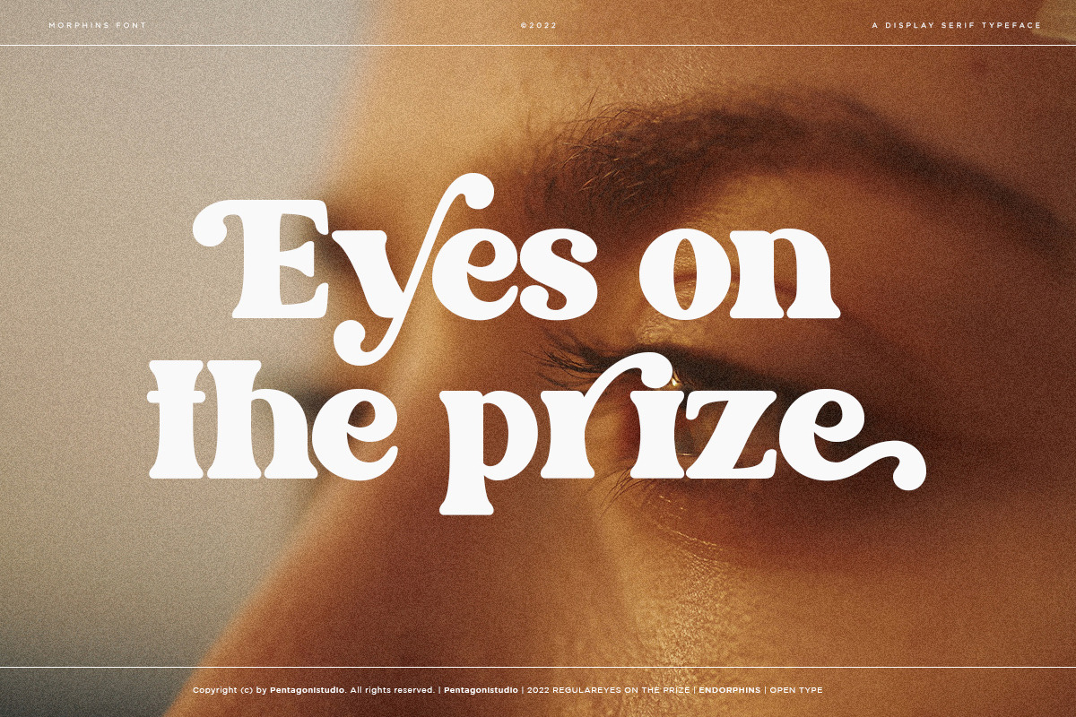 Morphins | Display Serif, a Serif Font by Pentagonistudio (Photo 2 of 11)
