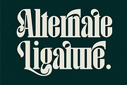 Matilira - Classic Serif Font, a Serif Font by Marvadesign (Thumbnail 2 of 10)