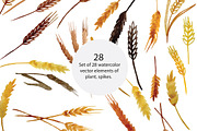 Spikelets, vector, an Illustration by risovanya (Thumbnail 1 of 2)