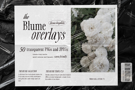 The Overlay Texture Pack PNG / JPEG, a Texture Graphic by Darla Studio