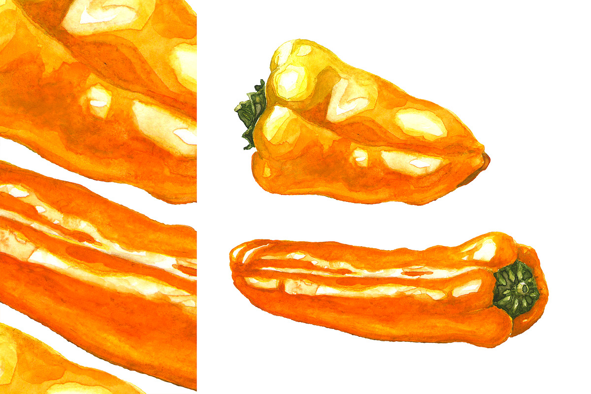 Hand-drawn Watercolor Mini Peppers, a Decorative Illustration by Margo Miller (Photo 13 of 17)