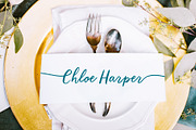 Calligraphy Script Brooklyn Heights, a Script Font by Mila Garret (Thumbnail 3 of 8)