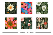 Cactus Flower Retro Art Designs, a Pattern Graphic by karenfoleyphoto (Thumbnail 15 of 18)