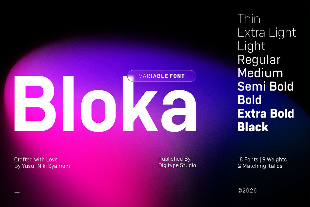 Bloka | Sans Serif Family, a Font by Digitype Studio (Photo 1 of 14)