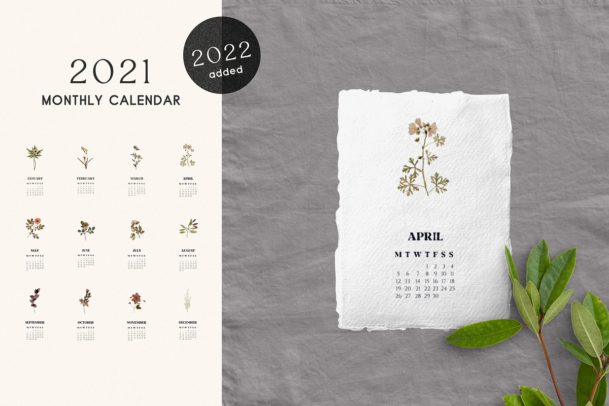 Herbarium: Pressed Dry Flowers vol.1, a Decorative Illustration by AnaPierceArt (Photo 7 of 12)