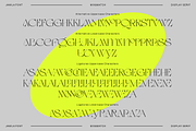 Jamila Stylist Display Serif, a Serif Font by RedyStudio (Thumbnail 11 of 12)