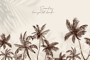 Tropical palm sketch, a Decorative Illustration by Jeanna Draw (Thumbnail 5 of 7)
