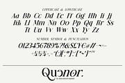 Quenor – Modern Editorial Serif Font, a Serif Font by shineink.designlab (Thumbnail 8 of 10)