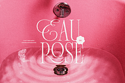 Fiore - Elegant Serif Script, a Serif Font by Sans & Sons (Thumbnail 9 of 9)