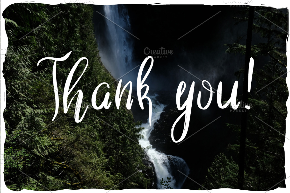 Wild Nature Script Typeface preview 4