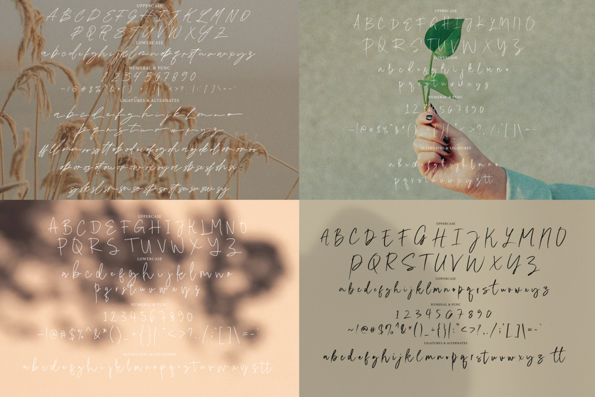 Casual Signature Font Bundles, a Handwritten Font by tebaltipislab (Photo 15 of 46)