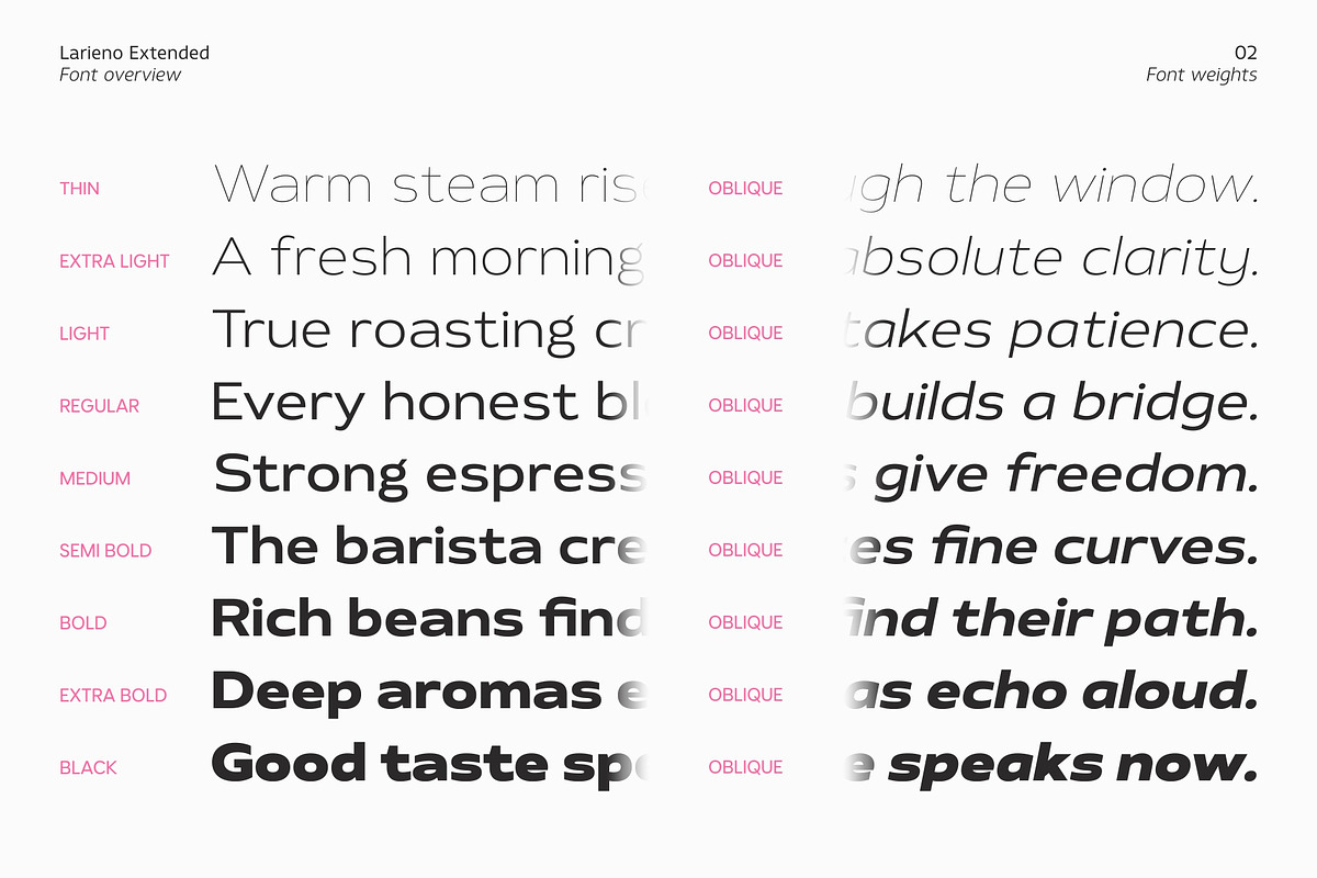 Larieno Extended, a Sans Serif Font by Zafara Studios (Photo 2 of 12)
