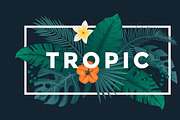 Tropical backgrounds, a Texture Illustration by Creative Graphics (Thumbnail 6 of 11)