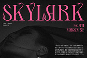 Ceyla – Art Nouveau Font, a Serif Font by Craft Supply Co. (Thumbnail 2 of 8)