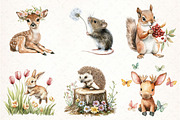 Forest Spring Woodland Animals PNG, an Illustration by Pixels.Craft (Thumbnail 3 of 7)