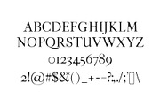 Moisses Serif Font Family Pack, a Serif Font by Creativetacos (Thumbnail 2 of 6)