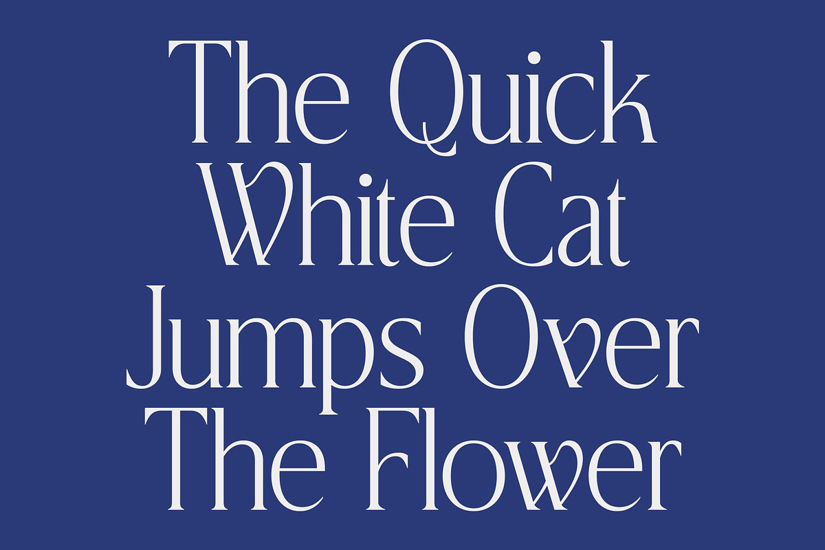 CS Agnella – Elegant Serif Font, a Serif Font by Craft Supply Co. (Photo 2 of 8)