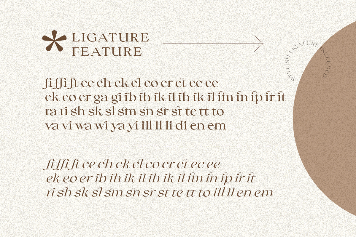 Collingar - Aesthetic Serif, a Serif Font by Sarid Ezra (Photo 5 of 9)